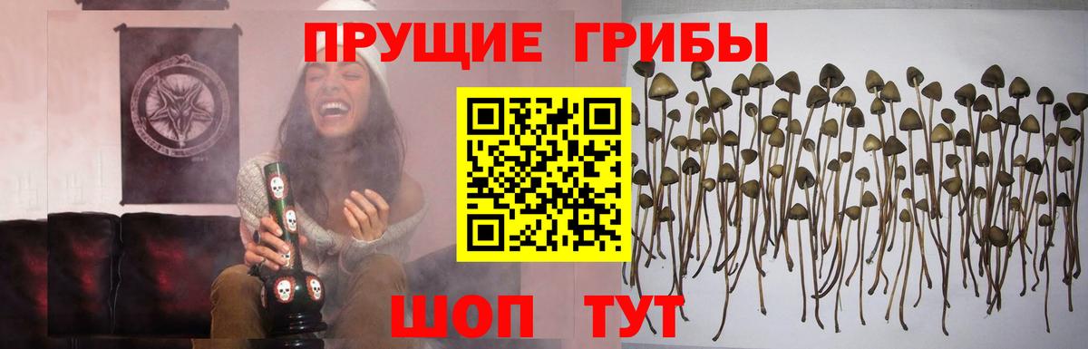Галлюциногенные грибы GOLDEN TEACHER  Вход с VPN  Горячий Ключ 